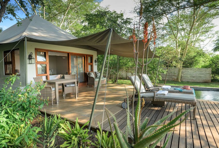 Savanna Luxury Suite 3