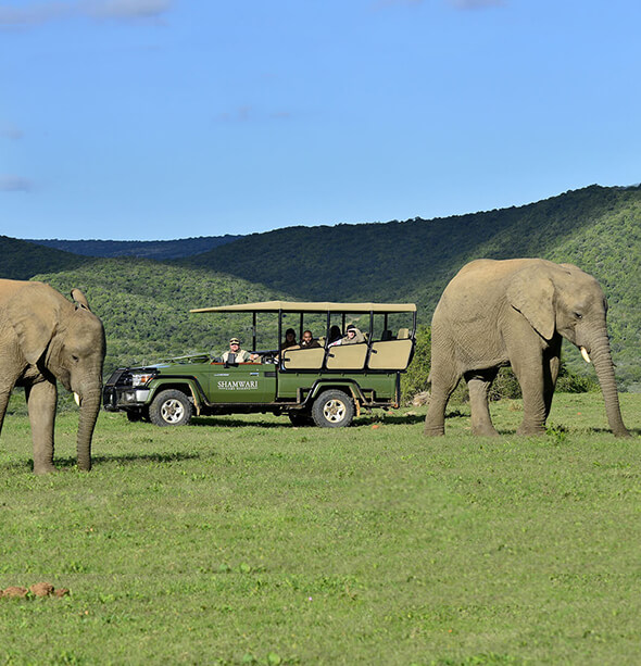 Shamwari Bayethe Lodge, Cape Town & Winelands
