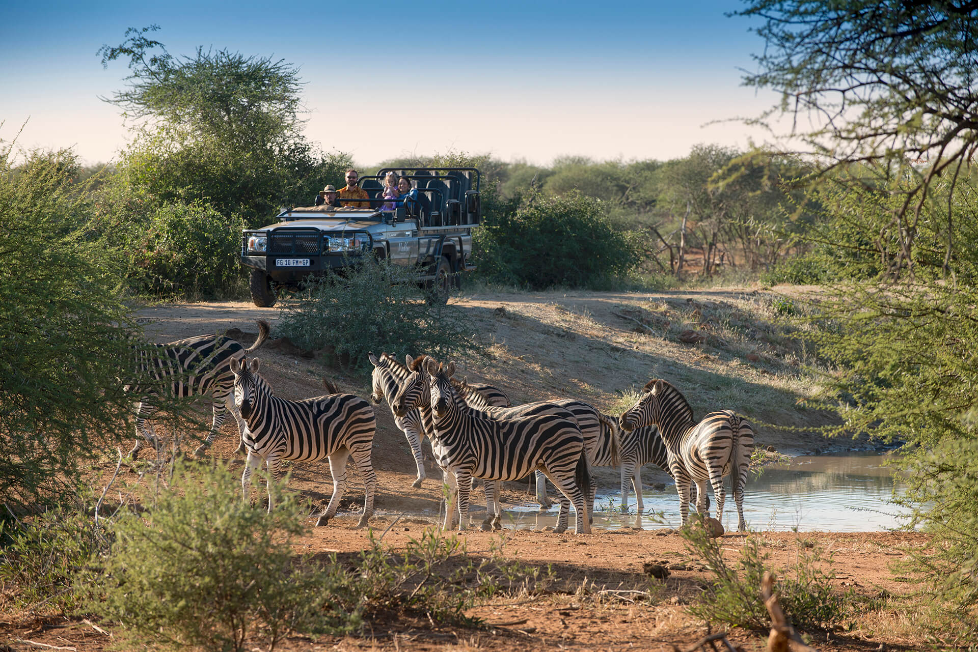 Madikwe