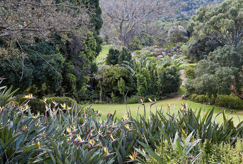 Kistenbosch-Camps-Bay-hike- Kistenbosch-Camps-Bay-hike-