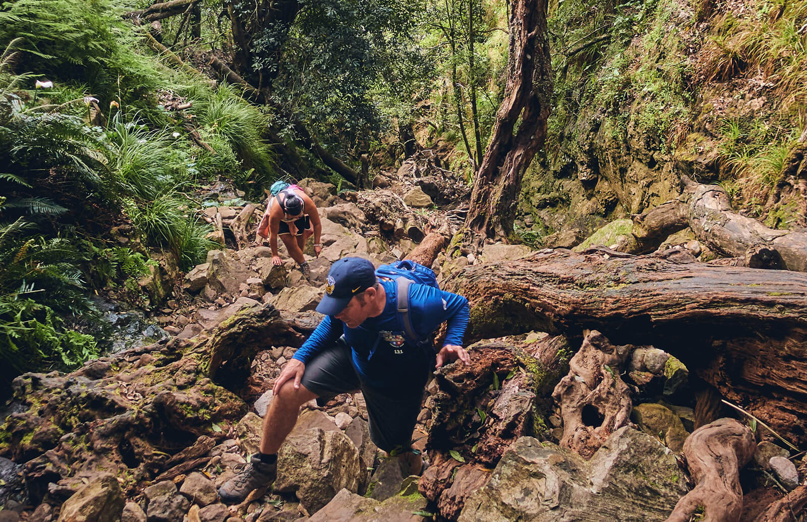 Skeleton Gorge