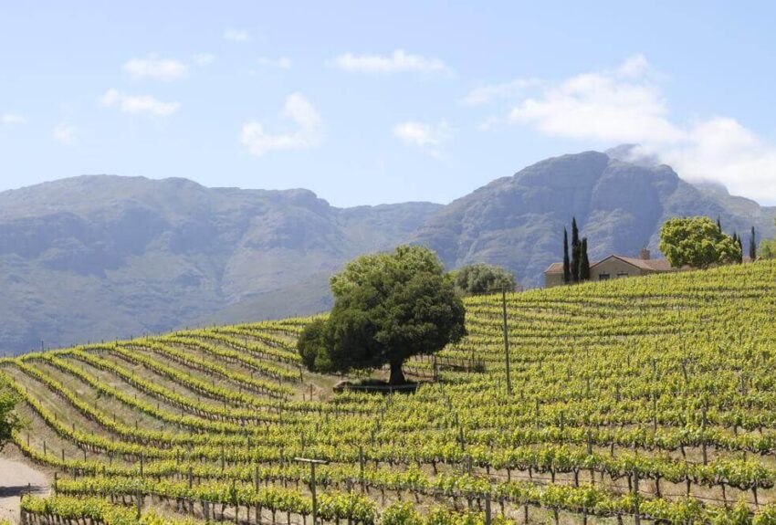 Winelands-half-day-tour Winelands-half-day-tour