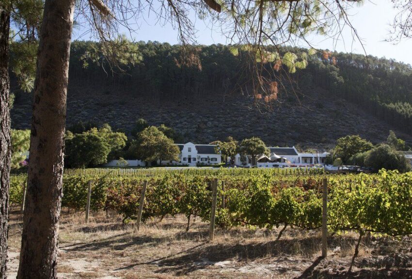 Winelands-full-day-tour Winelands-full-day-tour
