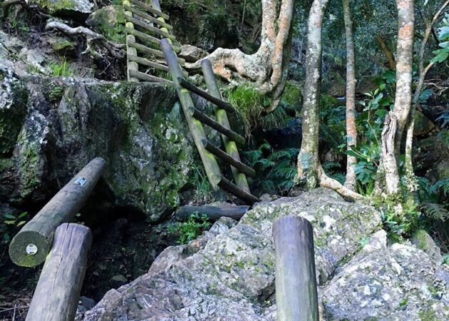 skeleton_gorge-12